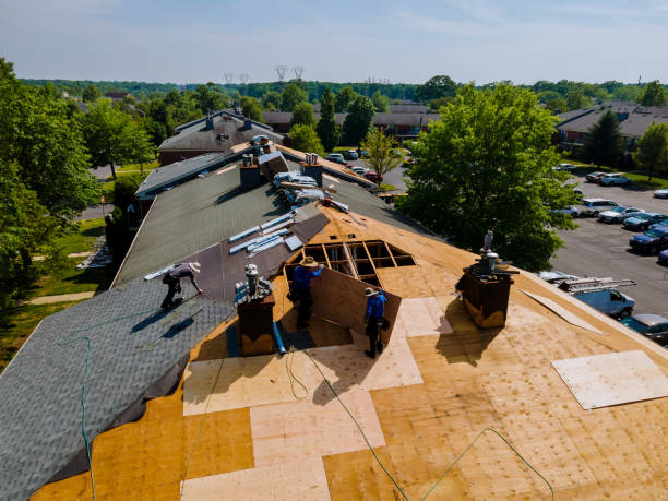 Best Affordable Roof Replacement  in Glenville, WV