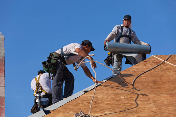 Best Emergency Roof Repair  in Glenville, WV